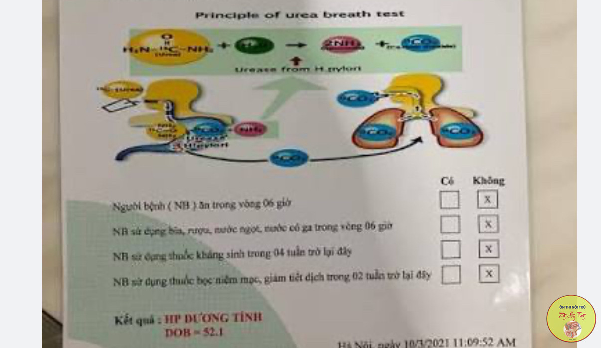 TEST THỞ H.P C14